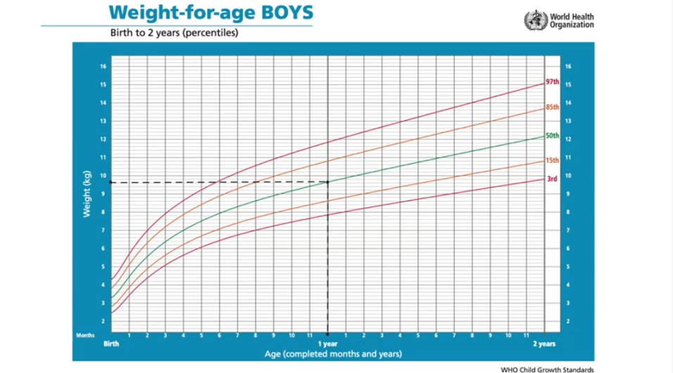 WHO weightforage percentile growth charts English