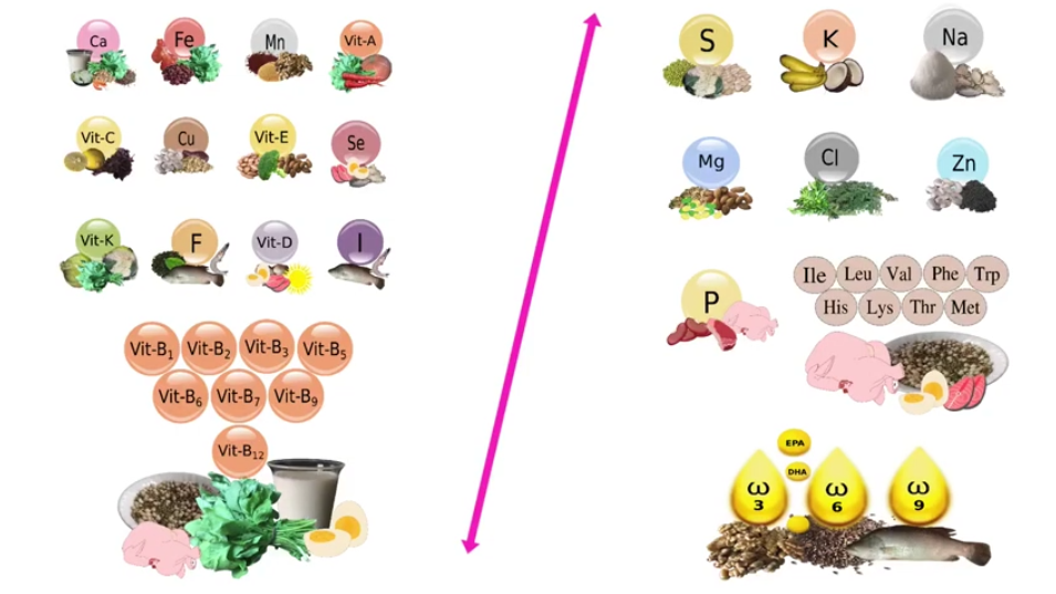 Type 1 and type 2 nutrients Tamil
